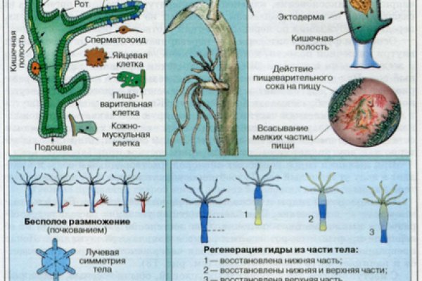 Кракен вход официальный сайт