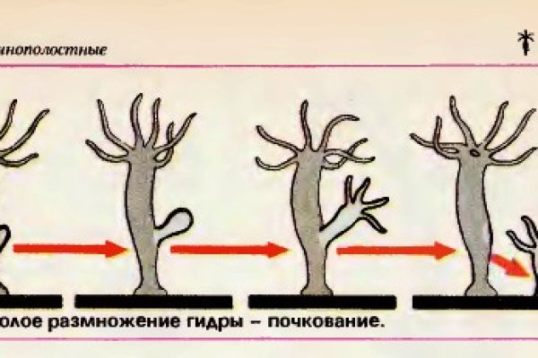 Кракен войти сегодня